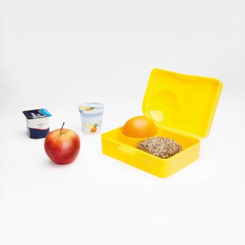 Lunch Box "Globe"